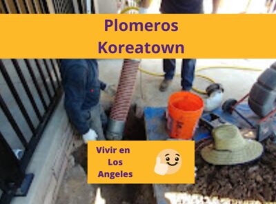 Los Mejores Plomeros en Koreatown Los Angeles