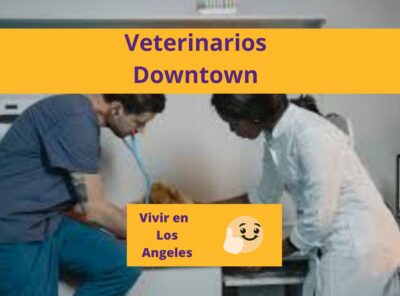 Los Mejores Veterinarios en Downtown Los Angeles