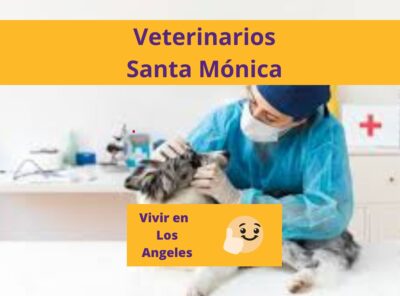 Los Mejores Veterinarios en Santa Mónica Los Angeles