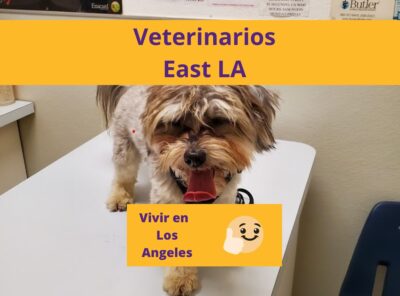 Los Mejores Veterinarios East LA Los Angeles