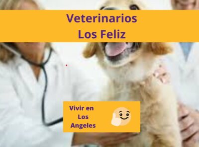 Los Mejores Veterinarios en Los Feliz Los Ángeles